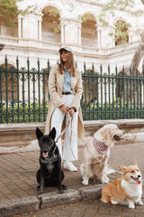 Angelique Linen Trench Coat - Oat Linen