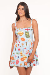 Caitlin Mini Dress - Blue Picnic